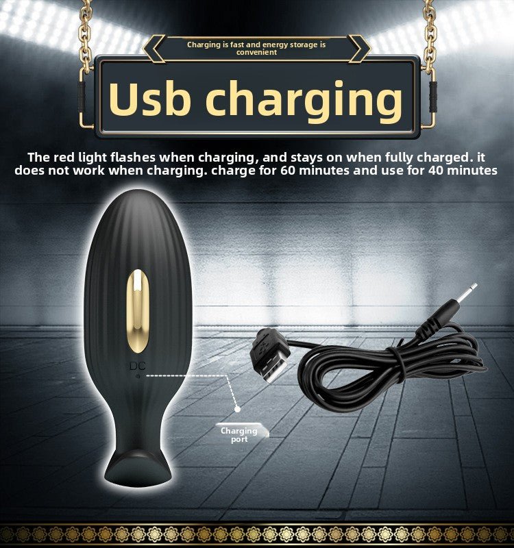 Golden Paladin Remote Control Anal Plug for Wellness - EaseMode Wellness