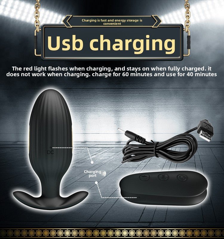 Golden Paladin Remote Control Anal Plug for Wellness - EaseMode Wellness