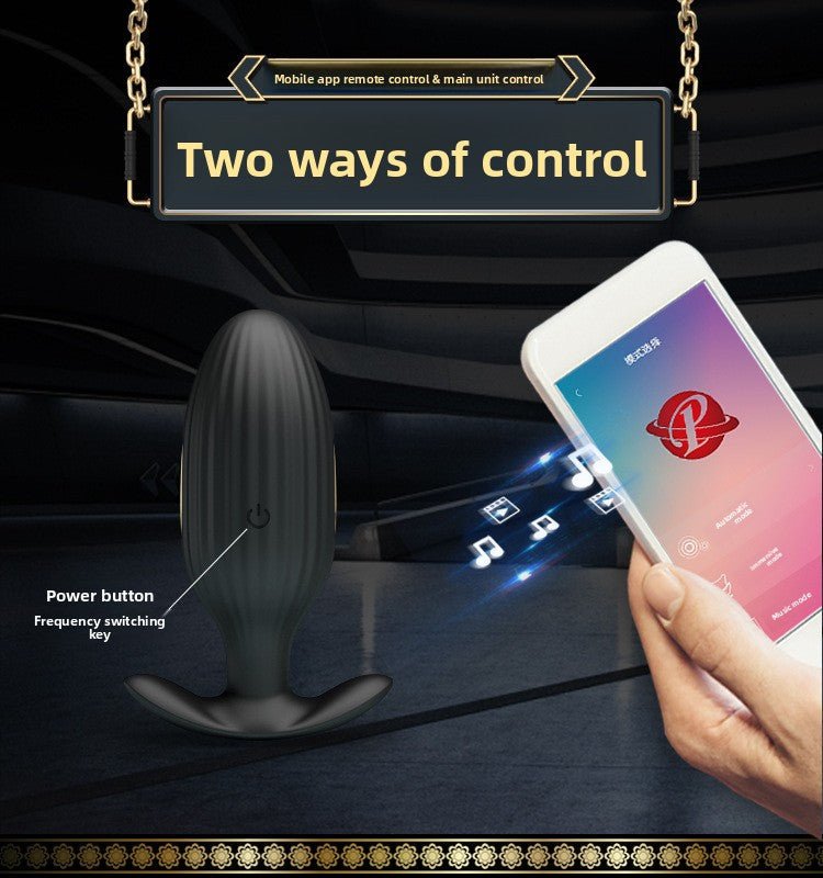 Golden Paladin Remote Control Anal Plug for Wellness - EaseMode Wellness