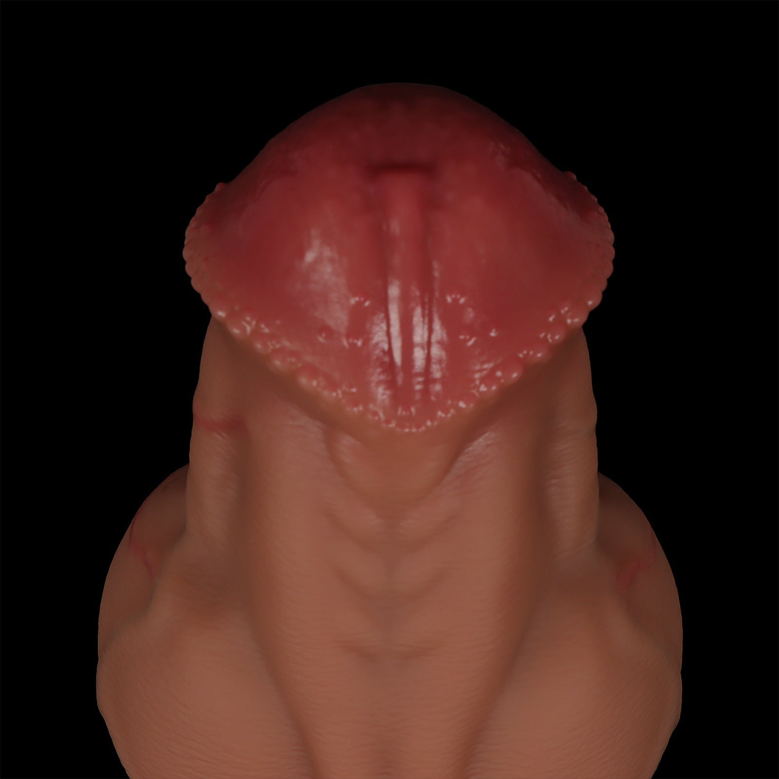 Large Muscle War Horse Anal Expansion Sex Products - EaseMode Wellness