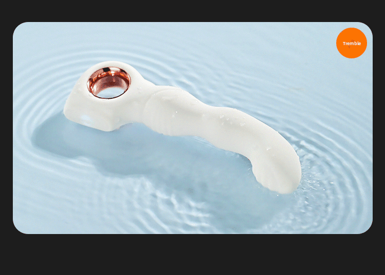 前列腺按摩器 - 男性愉悦体验提升 - EaseMode Wellness